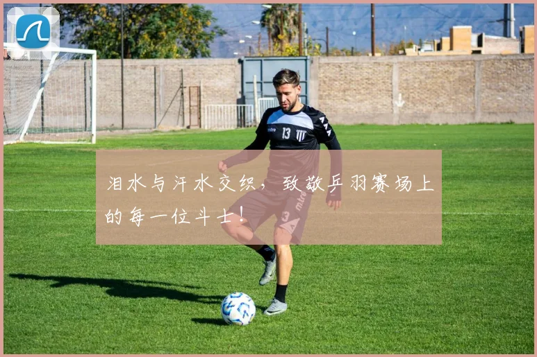 泪水与汗水交织，致敬乒羽赛场上的每一位斗士！