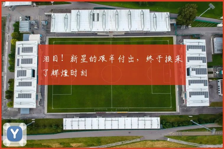 泪目！新星的艰辛付出，终于换来了辉煌时刻