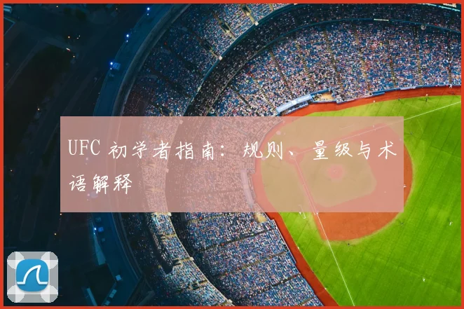UFC 初学者指南：规则、量级与术语解释