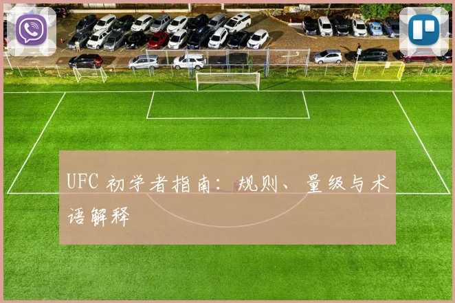 UFC 初学者指南:规则、量级与术语解释