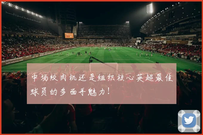 中场绞肉机还是组织核心英超最佳球员的多面手魅力！